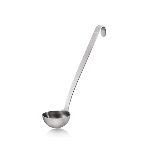 Stainless steel ladle